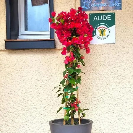 Apartament L'echappee Belle Carcassonne