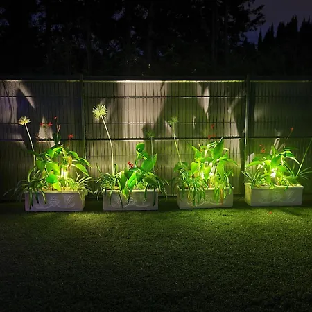 L'echappee Belle Carcassonne