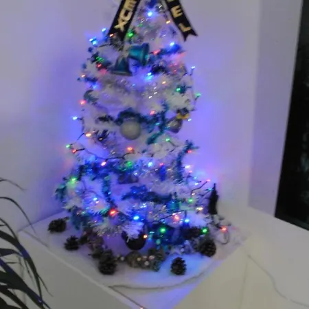 L'echappee Belle カルカソンヌ