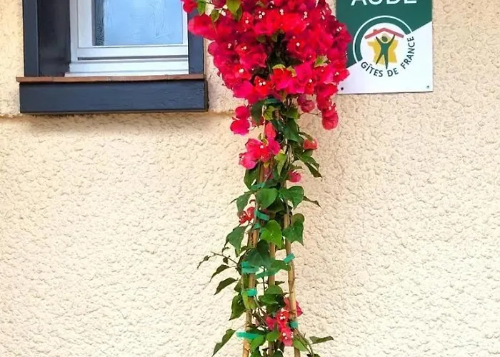 L'echappee Belle Apartmán Carcassonne